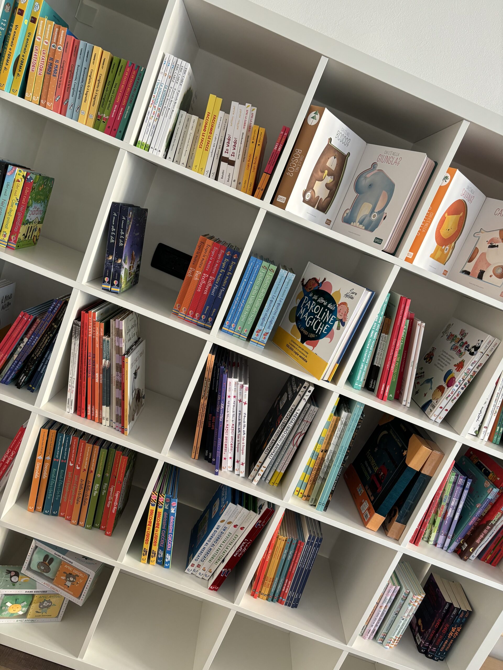 Uno scaffale contenente una grande quantità e varietà di libri per bambini a Mirano, nel negozio Il Palloncino Blu